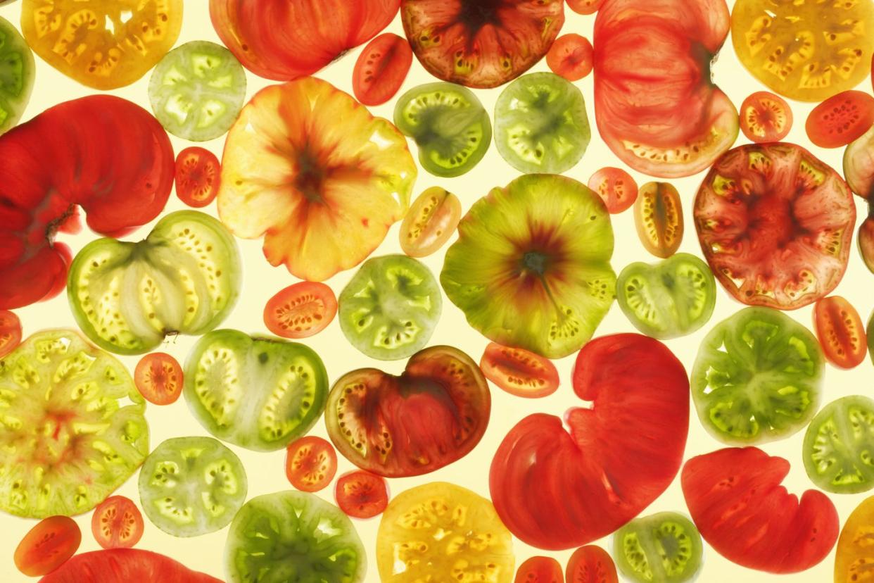 different tomato slices on color background, top view, studio shots